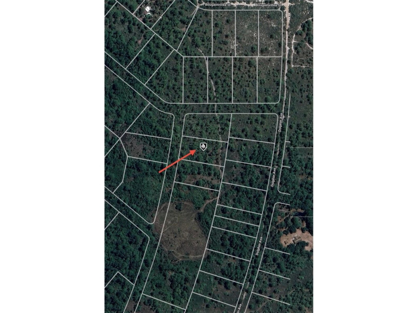 1.07 ACRE LOT! Zoning: R1. Quiet rural area with lots of - photo 8