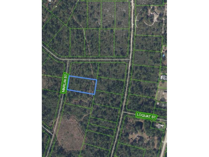 1.07 ACRE LOT! Zoning: R1. Quiet rural area with lots of - photo 9