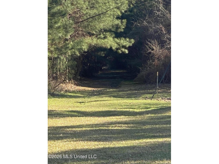 Hunting and Recreational retreat - 398+/- Acres in Amite County - photo 2