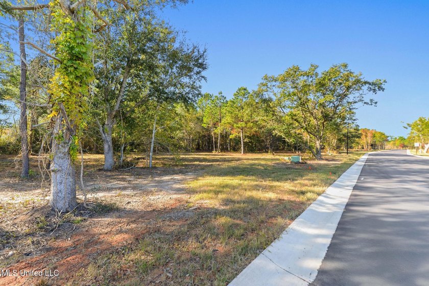Discover an exceptional opportunity to build your custom coastal - photo 13
