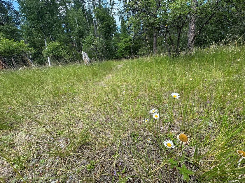 Tucked into a peaceful pocket near Swan Lake, this .67-acre lot - photo 16