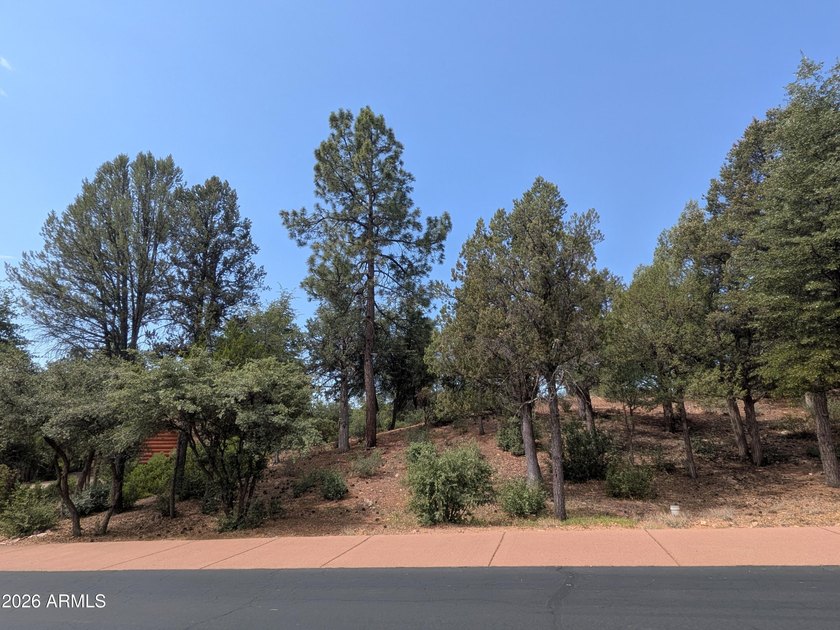 Golf Course Lot - Gentle Sloping Homesite! Beautiful .38-acre - photo 2
