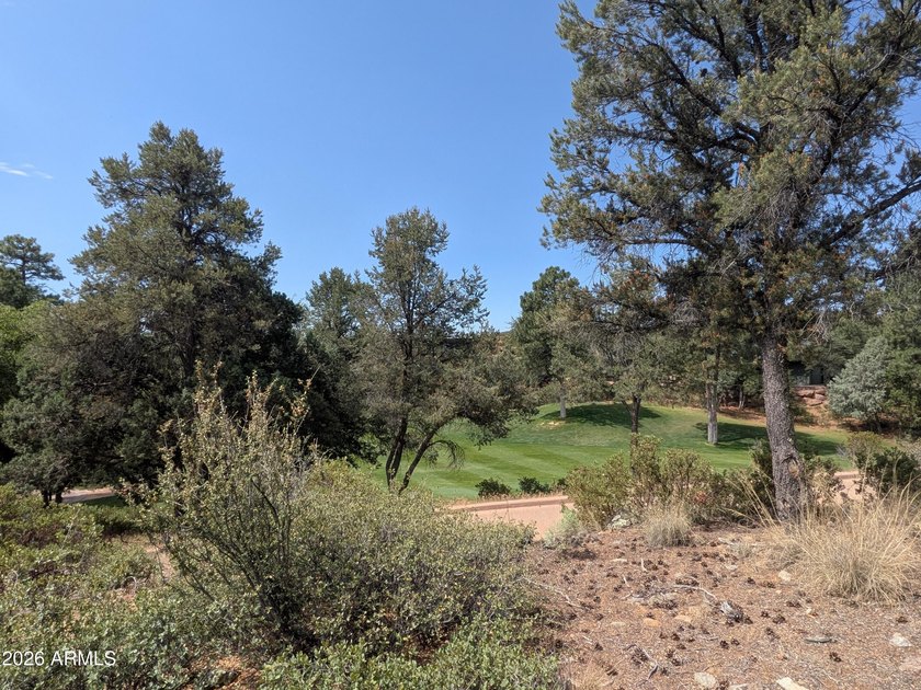 Golf Course Lot - Gentle Sloping Homesite! Beautiful .38-acre - photo 5