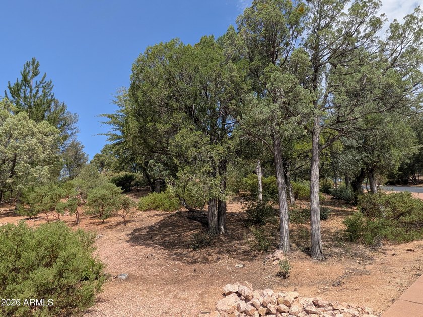 Golf Course Lot - Gentle Sloping Homesite! Beautiful .38-acre - photo 8