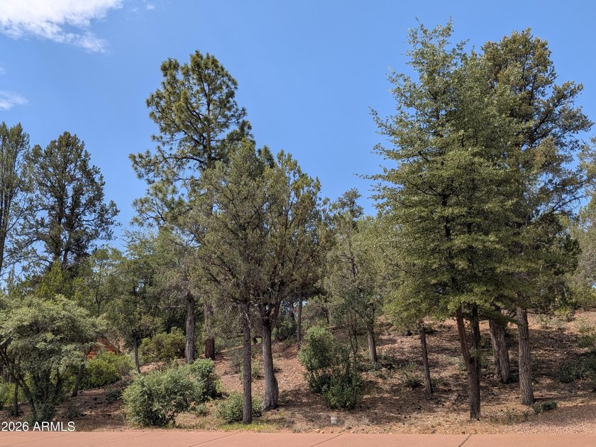 Golf Course Lot - Gentle Sloping Homesite! Beautiful .38-acre - photo 10
