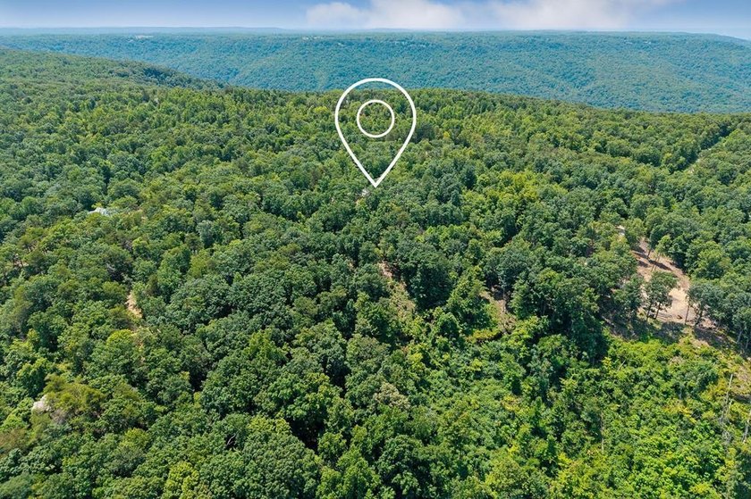 Escape to 5.66 private acres in Sparta, TN! Includes a level pad - photo 3