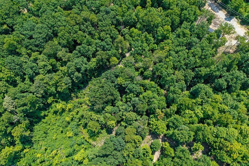 Escape to 5.66 private acres in Sparta, TN! Includes a level pad - photo 8