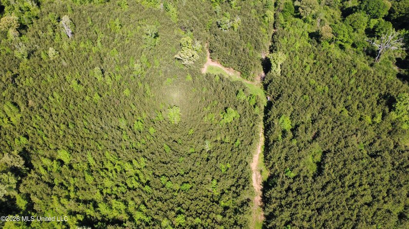This 66+/- acre tract in the West Lincoln School District - photo 3