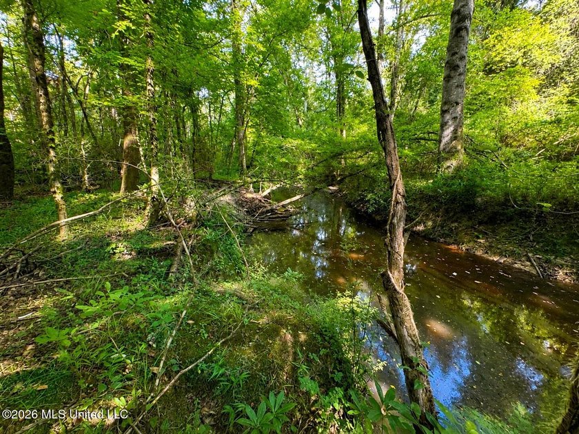This 66+/- acre tract in the West Lincoln School District - photo 7