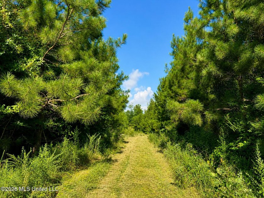 This 66+/- acre tract in the West Lincoln School District - photo 9