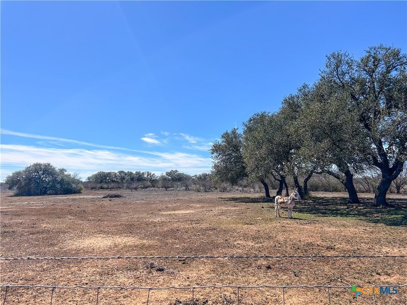 Tucked behind a private double gated entrance, this 37-acre - photo 36