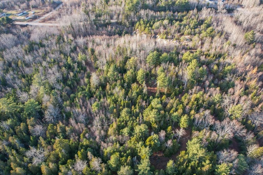 19.3 acres located in Hancock, Maine. This centrally situated - photo 9