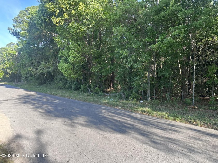 Large lot to build your home on, and close to shopping - photo 3