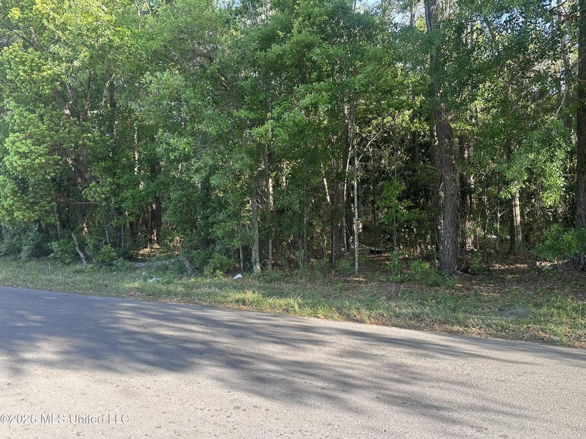 Large lot to build your home on, and close to shopping - photo 4