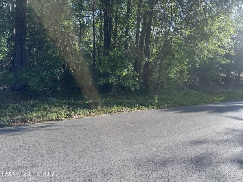 Large lot to build your home on, and close to shopping - photo 5