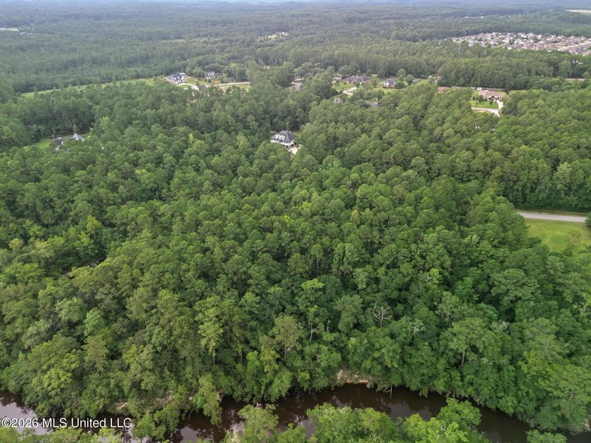 Discover the perfect opportunity to build your dream home on - photo 4