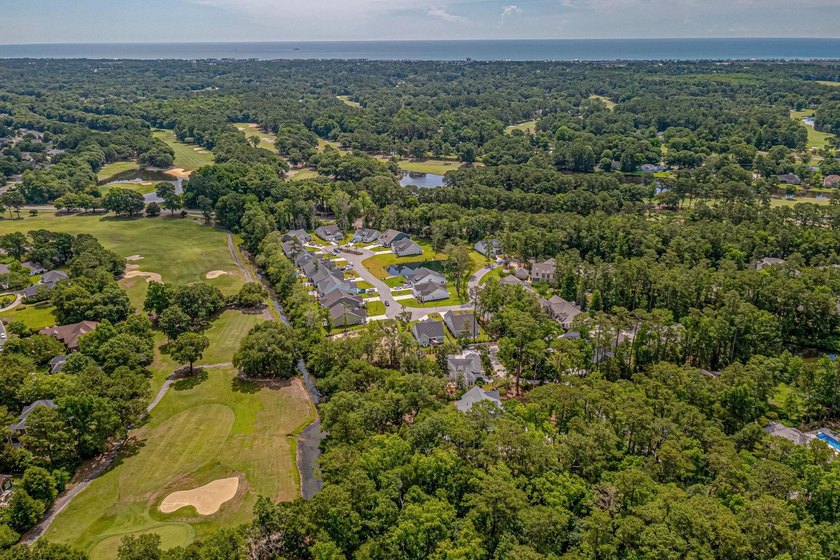 Set within the prestigious, gated community of Litchfield - photo 48