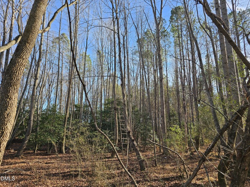31.58+/- acres available in Rocky Mount! This remarkable tract - photo 11