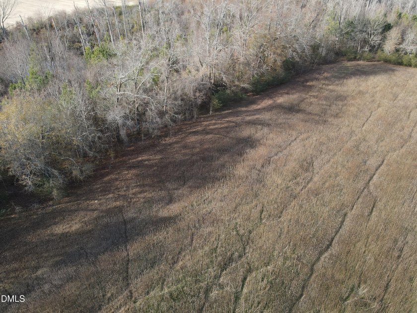 31.58+/- acres available in Rocky Mount! This remarkable tract - photo 14