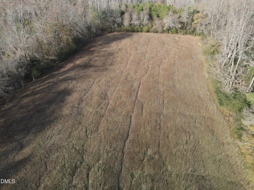 31.58+/- acres available in Rocky Mount! This remarkable tract - photo 15