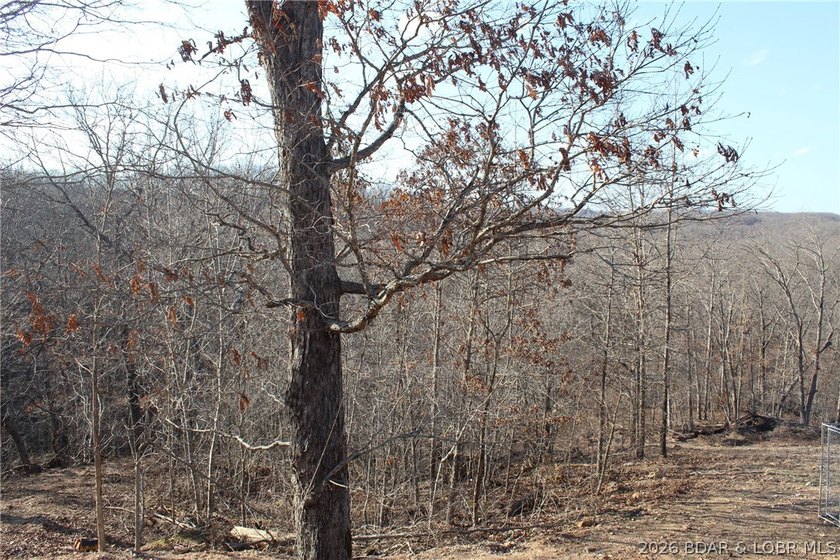 The hard part is already started-20.5+/- acres with utilities in - photo 24