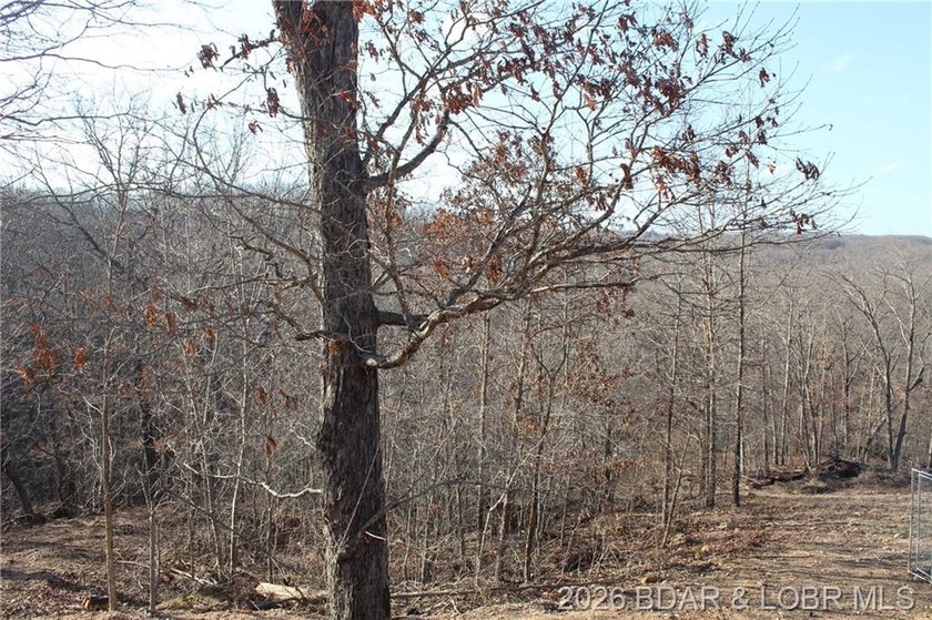 The hard part is already started-20.5+/- acres with utilities in - photo 24