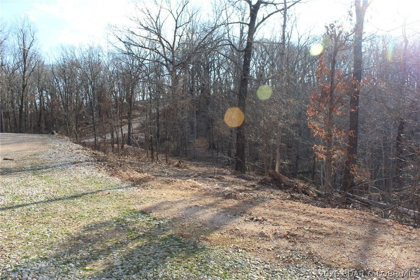 The hard part is already started-20.5+/- acres with utilities in - photo 25