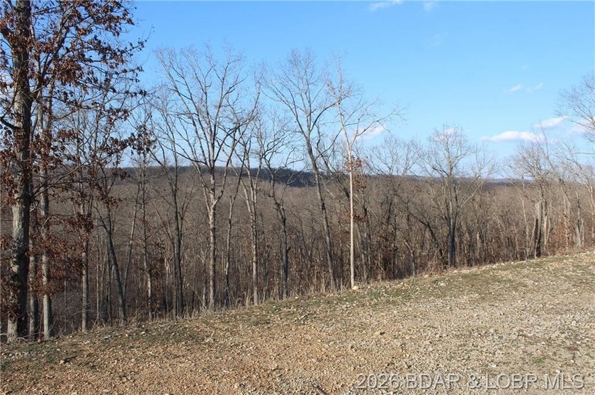 The hard part is already started-20.5+/- acres with utilities in - photo 32