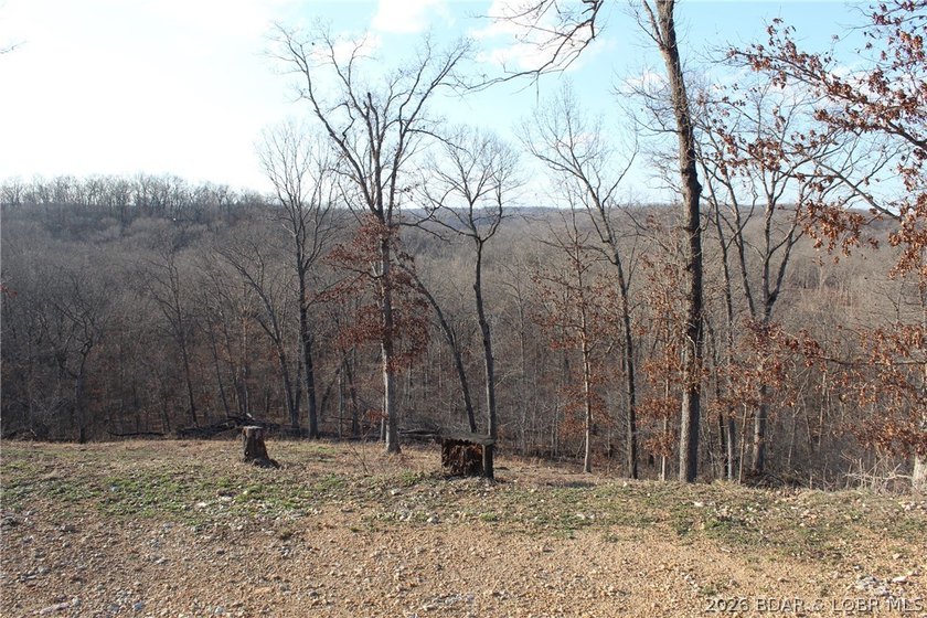 The hard part is already started-20.5+/- acres with utilities in - photo 33
