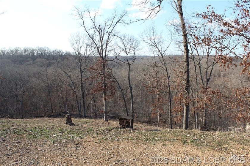 The hard part is already started-20.5+/- acres with utilities in - photo 33