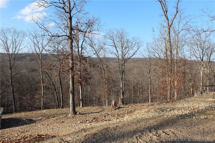 The hard part is already started-20.5+/- acres with utilities in - photo 34