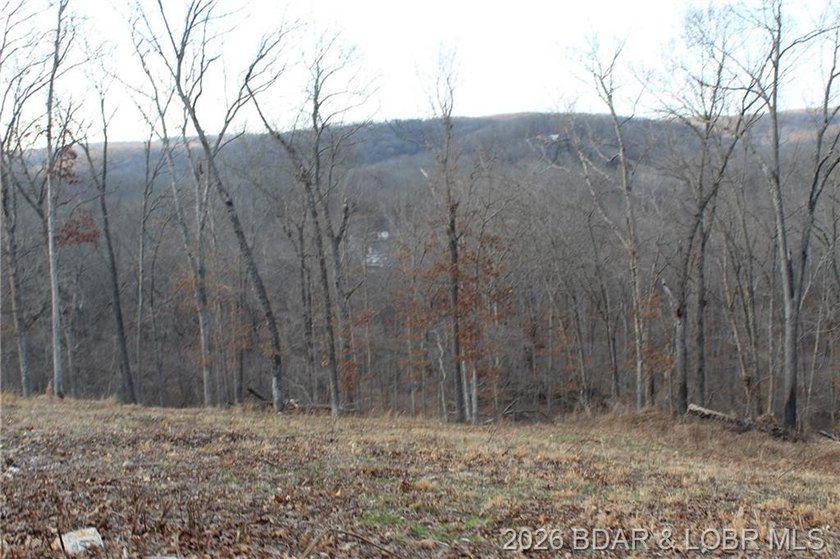 The hard part is already started-20.5+/- acres with utilities in - photo 35