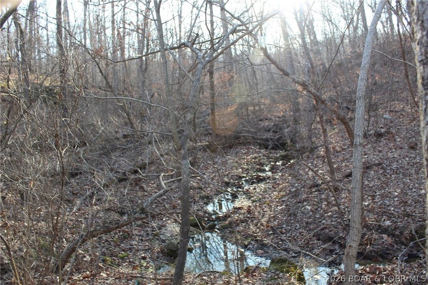 The hard part is already started-20.5+/- acres with utilities in - photo 38