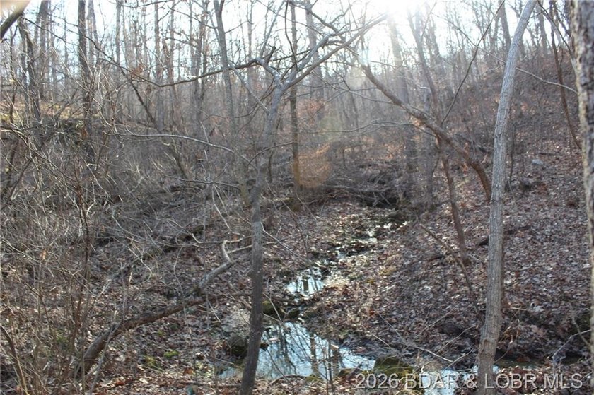 The hard part is already started-20.5+/- acres with utilities in - photo 38