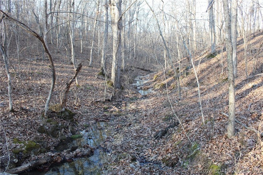 The hard part is already started-20.5+/- acres with utilities in - photo 39