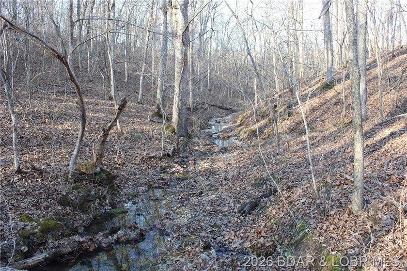 The hard part is already started-20.5+/- acres with utilities in - photo 39
