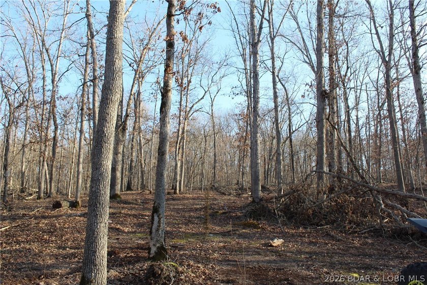 The hard part is already started-20.5+/- acres with utilities in - photo 40