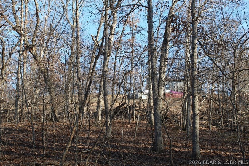 The hard part is already started-20.5+/- acres with utilities in - photo 41