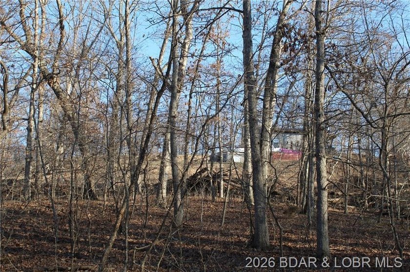 The hard part is already started-20.5+/- acres with utilities in - photo 41
