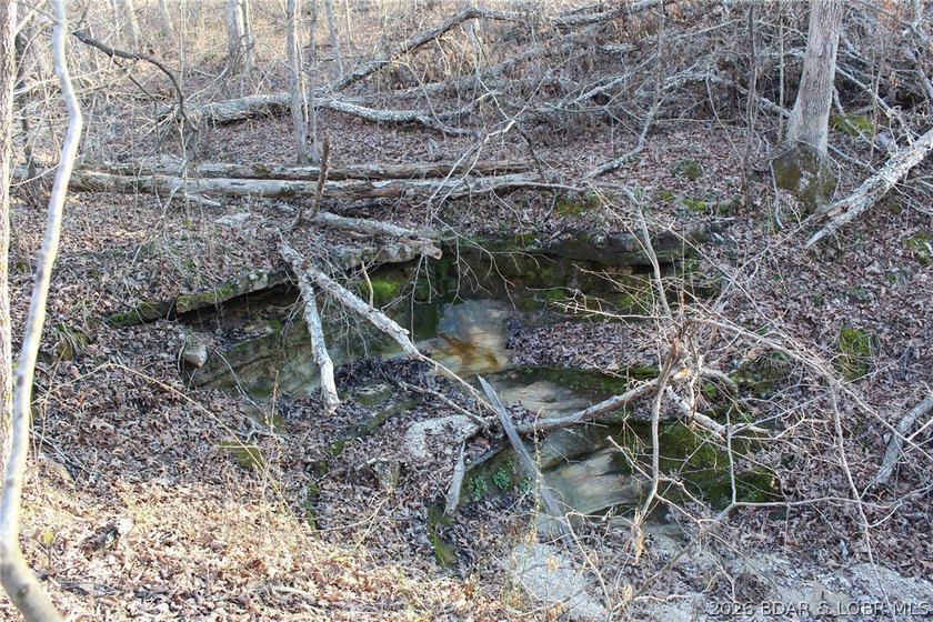 The hard part is already started-20.5+/- acres with utilities in - photo 42