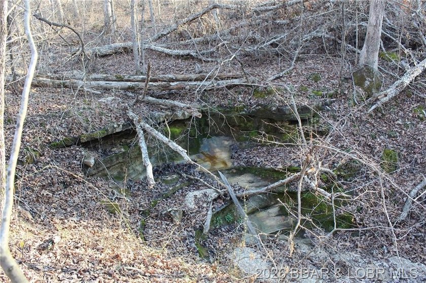 The hard part is already started-20.5+/- acres with utilities in - photo 42