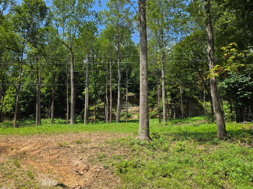 Land you can spread out on! - photo 7