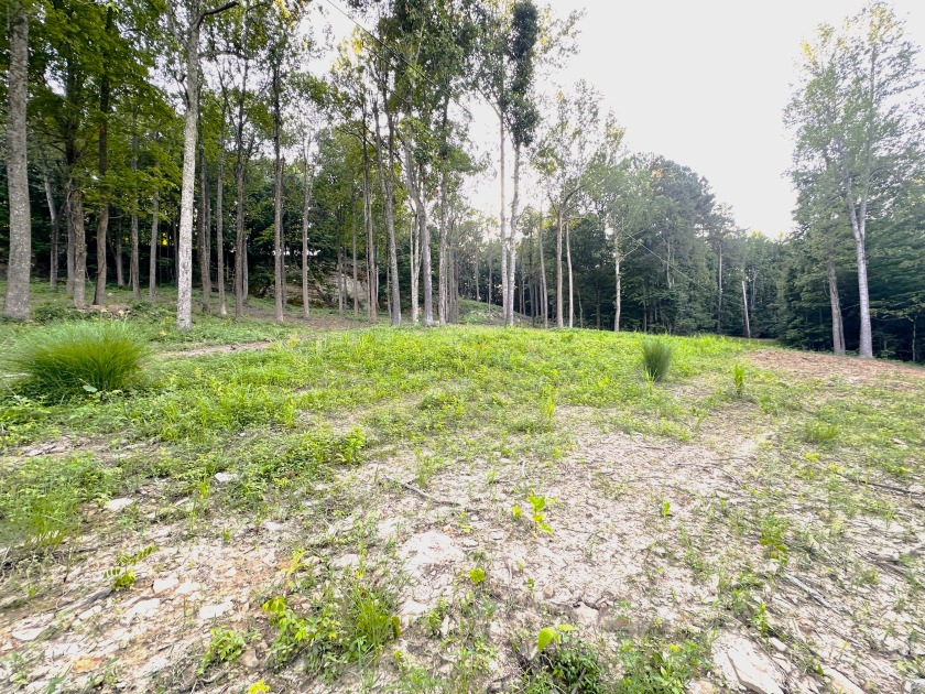 Land you can spread out on! - photo 10