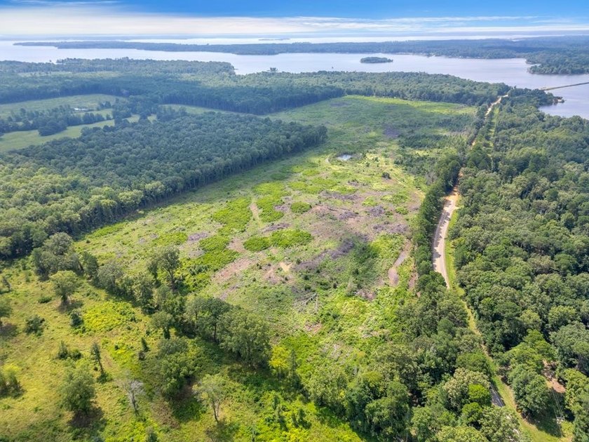 The 135.25-acre tract, recently planted with Elite Containerized - photo 11