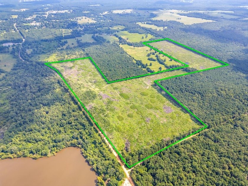 The 135.25-acre tract, recently planted with Elite Containerized - photo 12