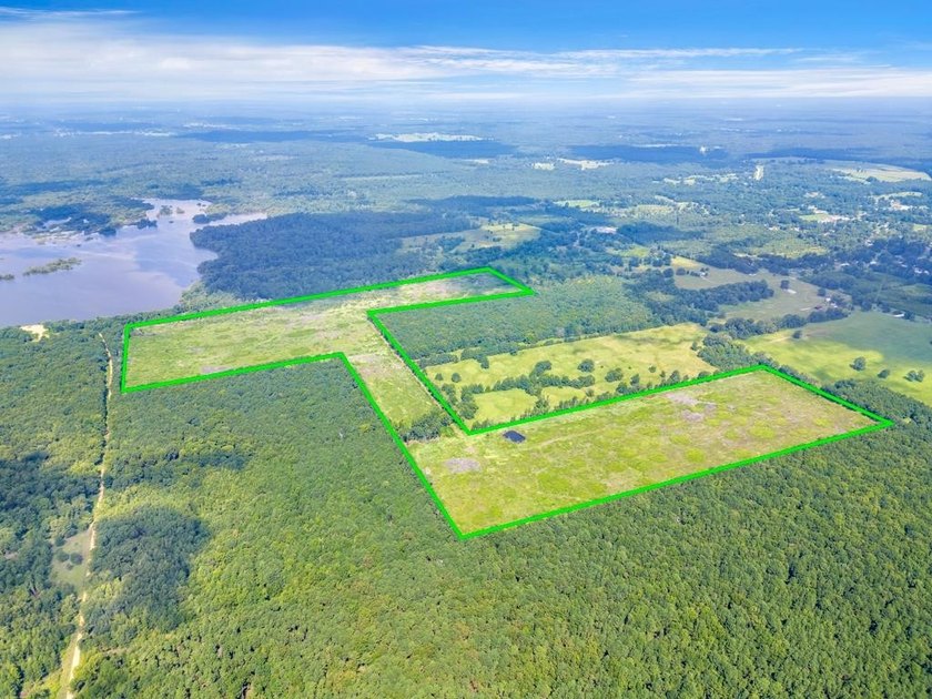 The 135.25-acre tract, recently planted with Elite Containerized - photo 15