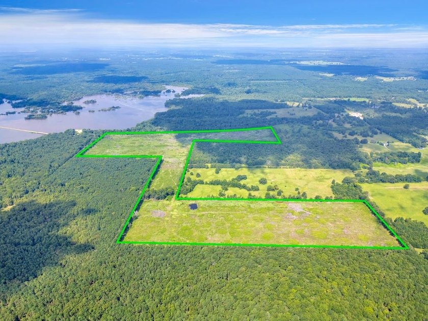 The 135.25-acre tract, recently planted with Elite Containerized - photo 16