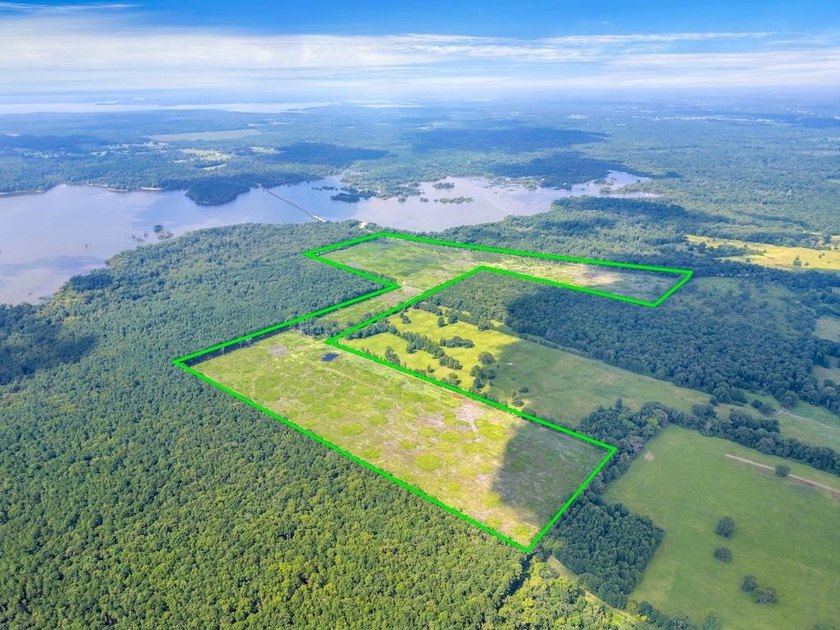 The 135.25-acre tract, recently planted with Elite Containerized - photo 17