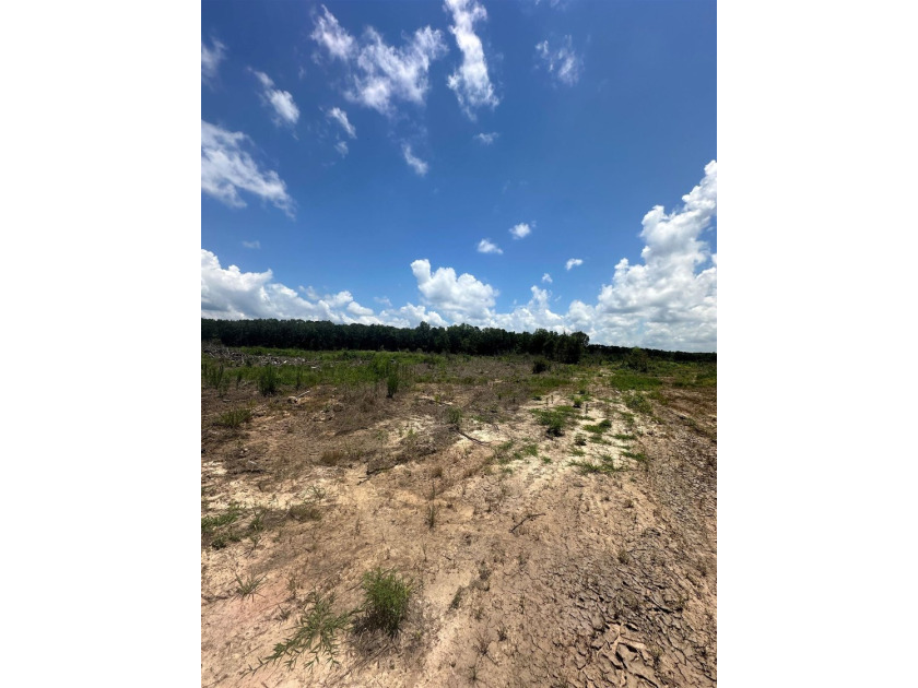 The 135.25-acre tract, recently planted with Elite Containerized - photo 19