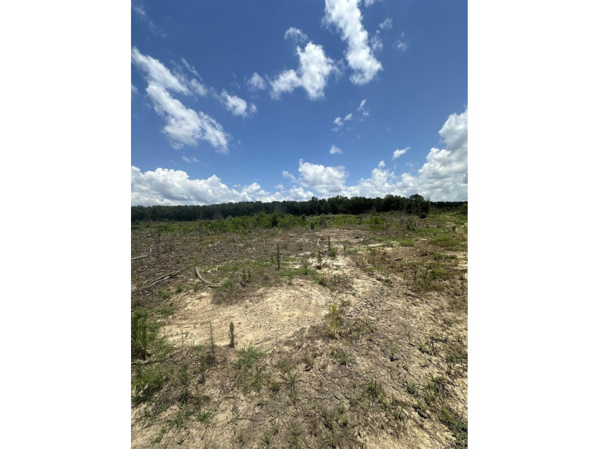The 135.25-acre tract, recently planted with Elite Containerized - photo 20